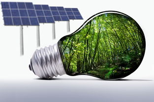 全國首艘電力推進渡船建成交付 可節(jié)能達到15 左右