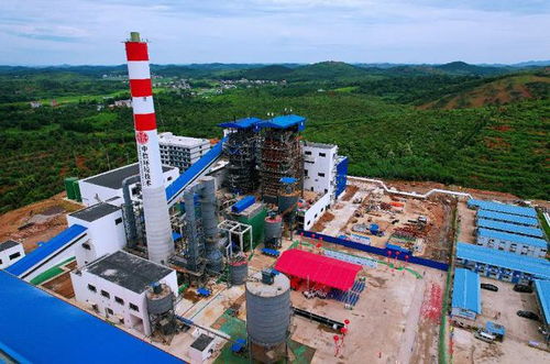 中信環(huán)境技術(shù)湘南紡織產(chǎn)業(yè)基地環(huán)保設(shè)施園熱電聯(lián)產(chǎn)項目舉行點(diǎn)火儀式