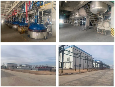 惡唑酰草胺、滅草松等原藥項目建成投產,寧夏藍田已投資超過3.2億元